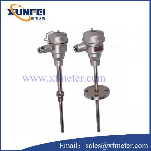 WZP224S Explosion proof RTD, pt100, factory, manufacturer XUNFEI Meter