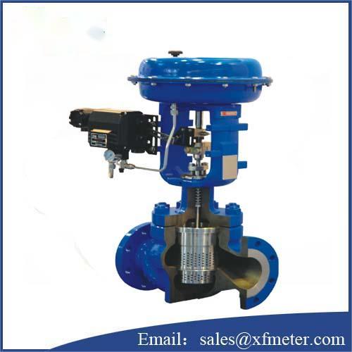 HCN Cage guided control valve